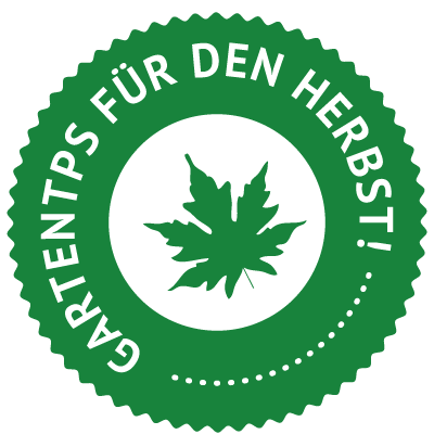 Gartentips für den Herbst Herpspflege mit Nordweiss-Perle