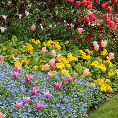 Blumen richtig kalken und pflegen mit Kalkdüngung