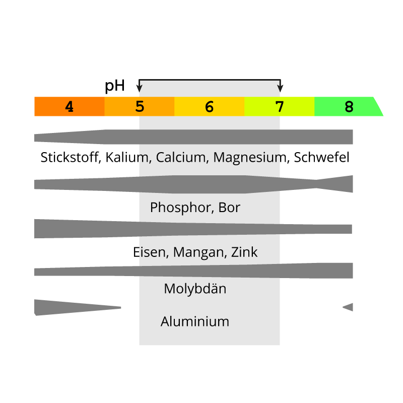 Nordweiss-Perle Garten- und Rasenkalk - VKD