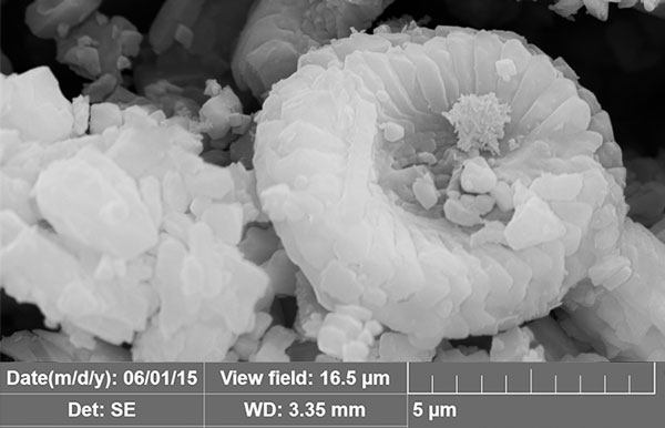 coccolithophoride Kreide Düngekalk Natürlich - Nordweiss-Perle Garten- und Rasenkalk - VKD