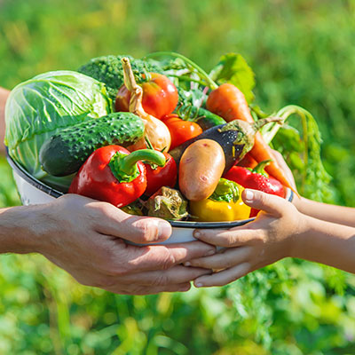 Obst und Gemüse biologisch anbauen mit der Nordweiss-Perle