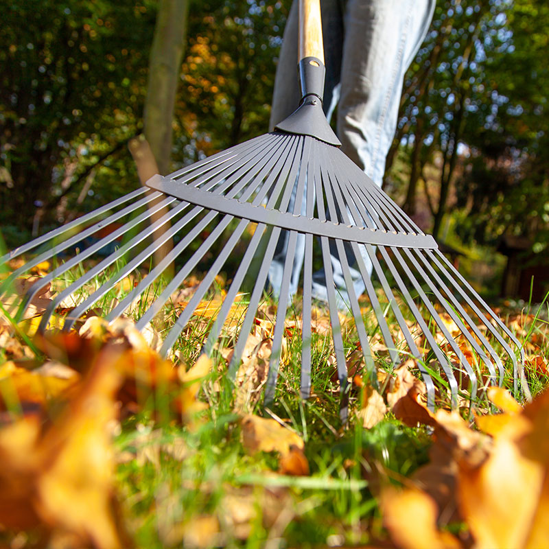 Laub entfernen - Schneeschimmel verhindern - Nordweiss-Perle Garten- und Rasenkalk