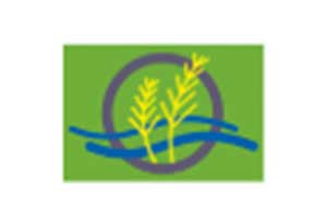Logo Raiffeisen Vechta
