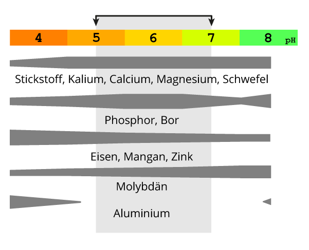 Nordweiss-Perle Garten- und Rasenkalk - VKD