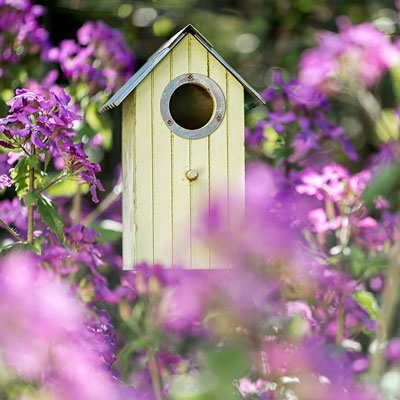 Nistkasten Naturschutz - Nordweiss-Perle Garten- und Rasenkalk