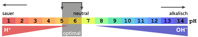 Der optimale pH-Wert - Nordweiss-Perle | Garten- und Rasenkalk | Vereinigte Kreidewerke Dammann