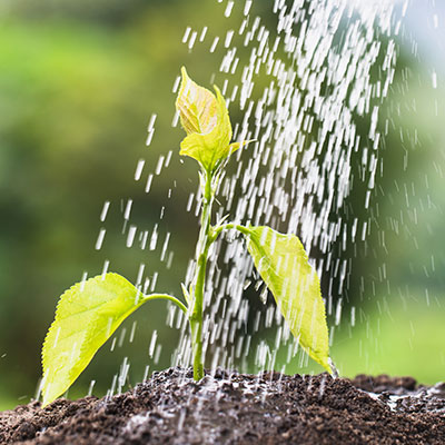 Garten Bodenlebewesen unterstützen