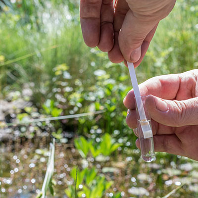 Boden-pH-Wert testen und Kalkbedarf ermitteln