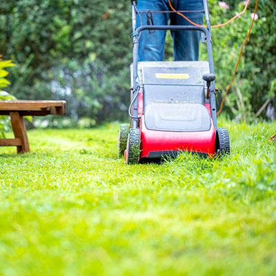 Schöner Rasen - Rasenpflege mit Nordweiss-Perle Garten- und Rasenkalk - VKD