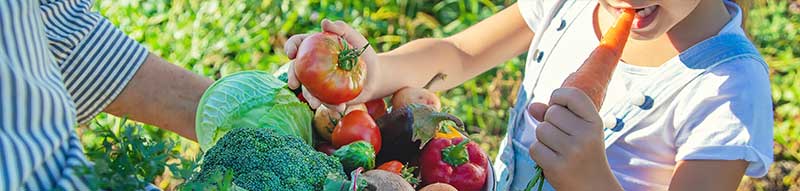 Bessere Nährstoffaufnahme mit der Nordweiss-Perle Garten- und Rasenkalk - VKD Urban Gardining - Bodenpflege Hochbeet