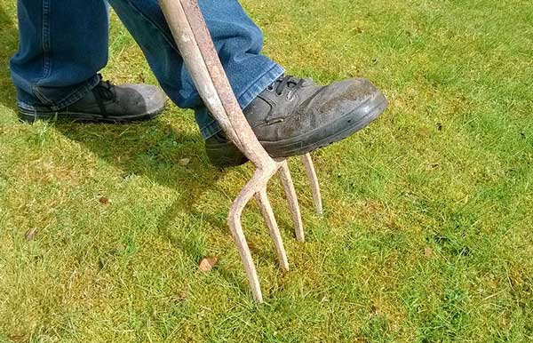 Sauren Boden erkennen und Bodenverbesserung im Garten mit Nordweiss-Perle