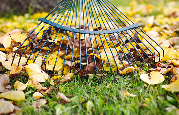 Herbstpflegetips im Garten bio mit Nordweiss-Perle