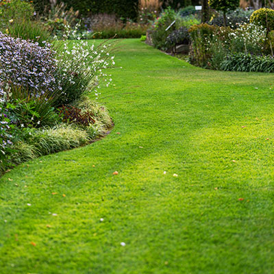 Schöner Rasen - Rasenpflege mit Nordweiss-Perle Garten- und Rasenkalk - VKD